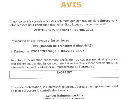 Travaux de peinture - entretien des lignes électriques