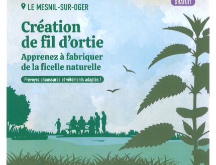 Atelier créatif - Création de fil d'ortie