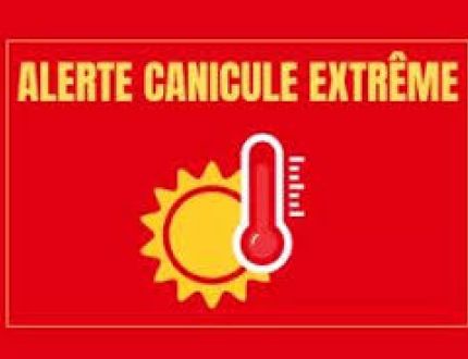 Canicule