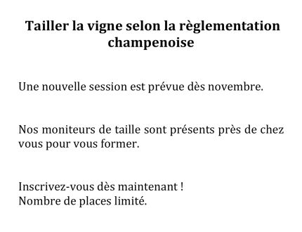 Formation : Taille de la Vigne en Champagne