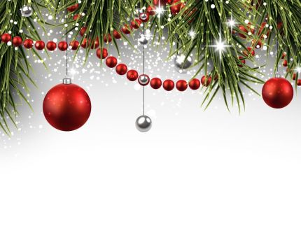 Meilleurs Vœux 2026