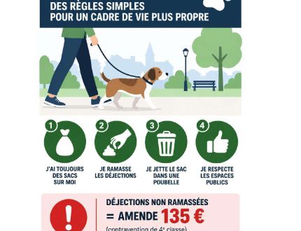 Déjections canines