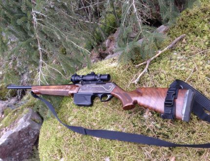 Système d'information sur les armes