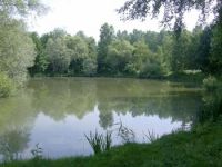 Etang des Chanteraines