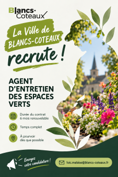Offre d'emploi