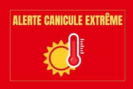 Canicule