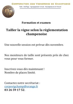Formation : Taille de la Vigne en Champagne  