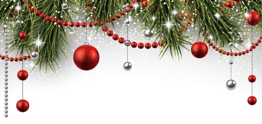 Meilleurs Vœux 2026