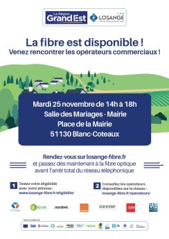 Réunion Publique Losange