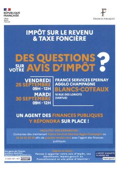Impôt sur le revenu et taxe foncière