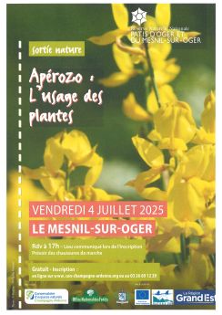 Sortie nature apérozo : l'usage des plantes