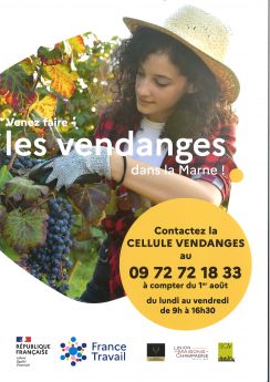 Vendanges